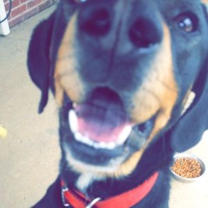 Meet your Posher, Nicolas